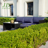 Lotis 3 Piece Rattan Sofa Seating Group with Cushions